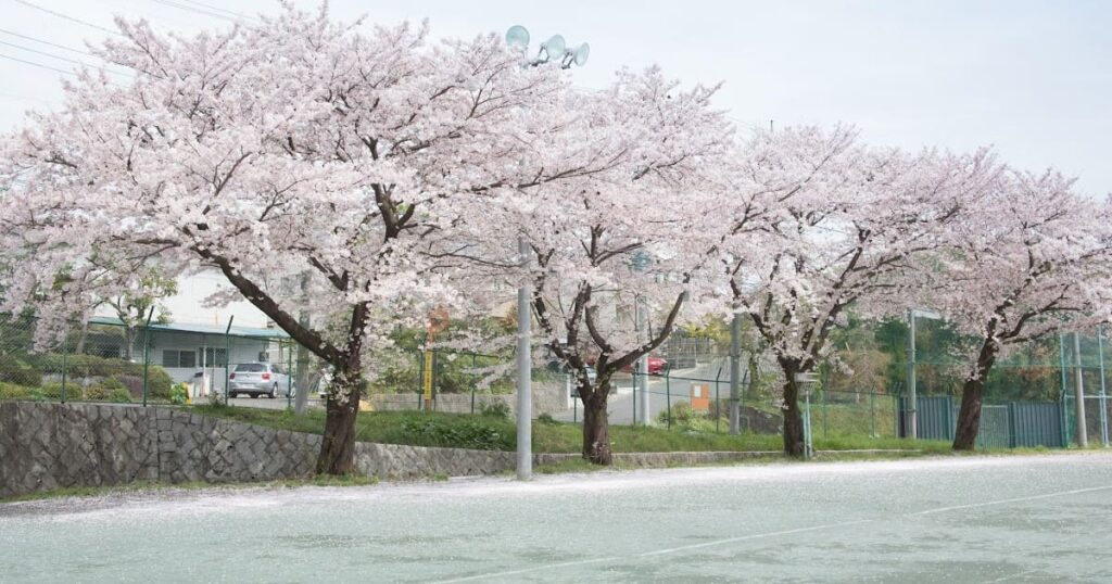 和光高校の基本情報